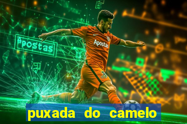 puxada do camelo jogo do bicho